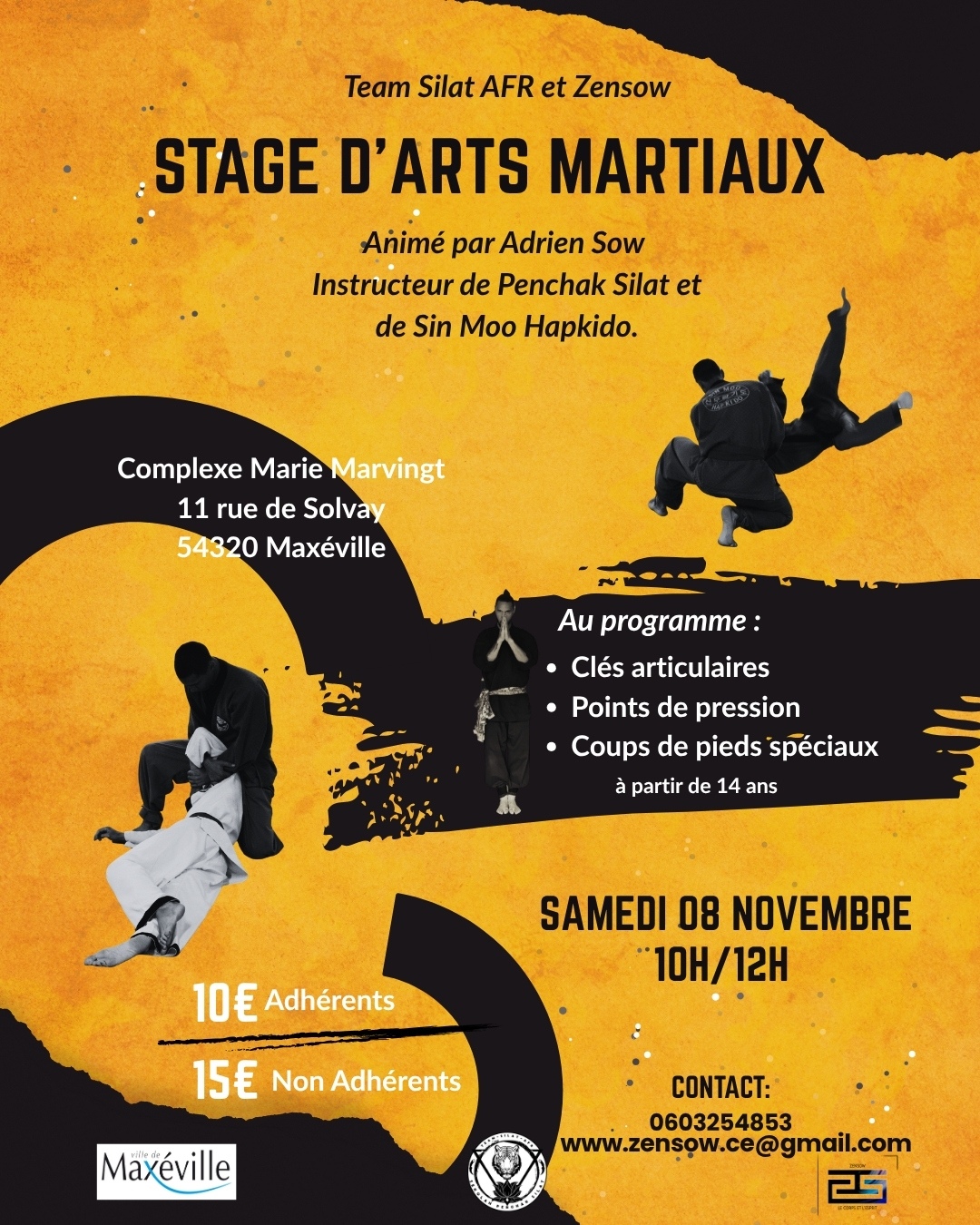 Black And Yellow Bold Torn Paper Discipline Martial Arts Jiu-Jitsu Poster (Publication Instagram (45)).jpg
